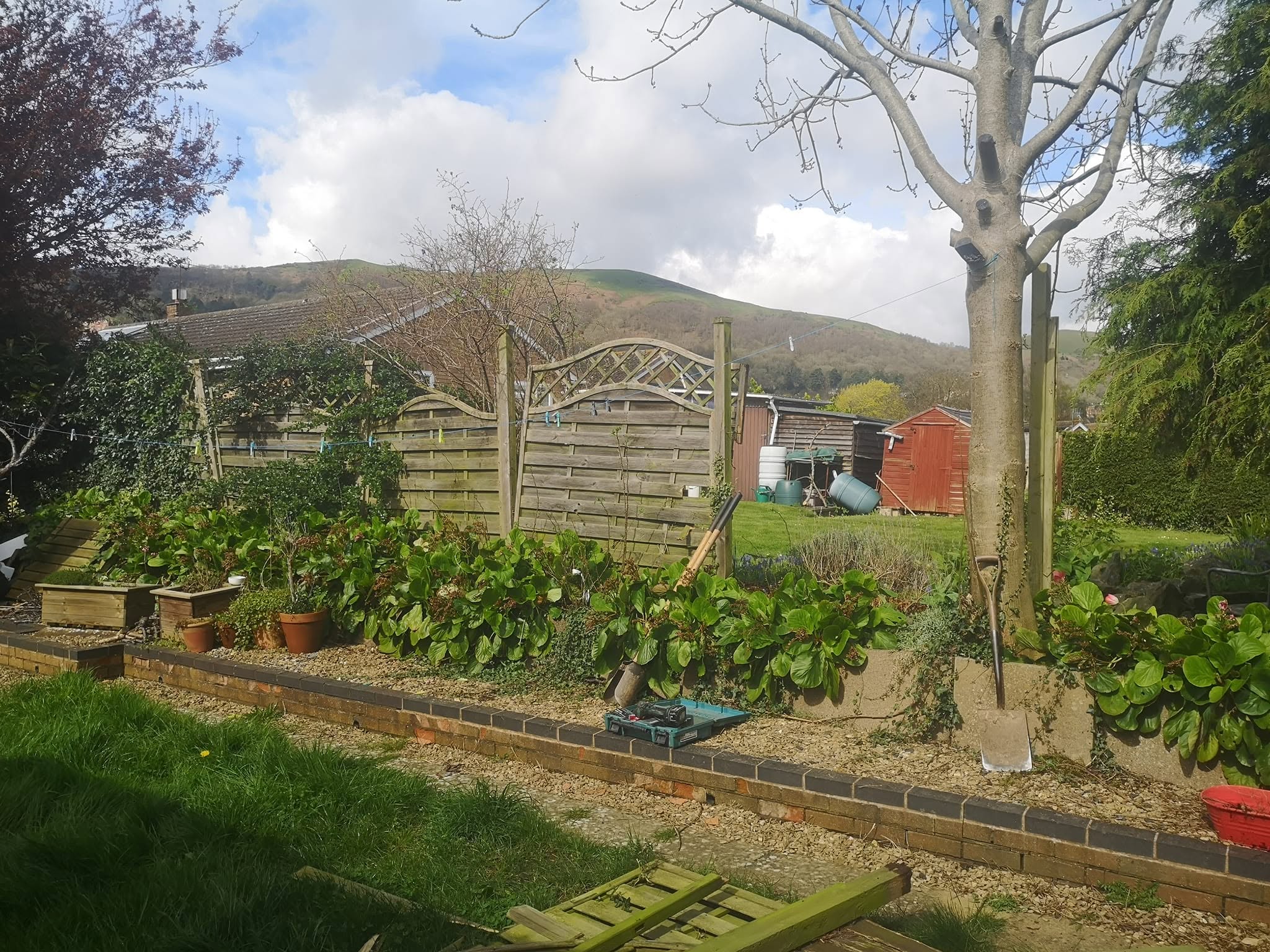 New horizontal fence and brick-edged border with hills behind