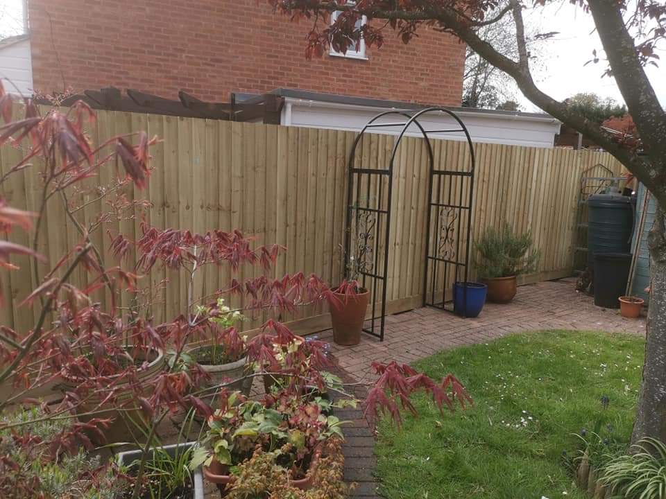 Closeboard fence with a metal arch and a red acer in front