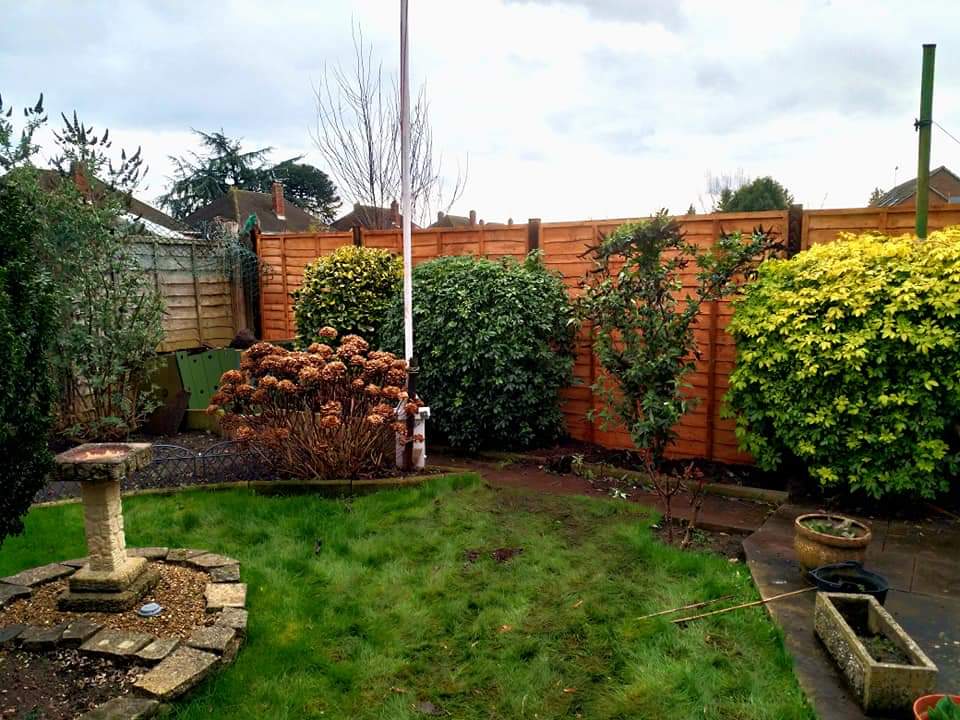 Tidy lawn and planted borders in front of an orange-stained fence